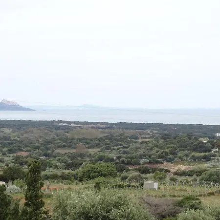 Belvedere